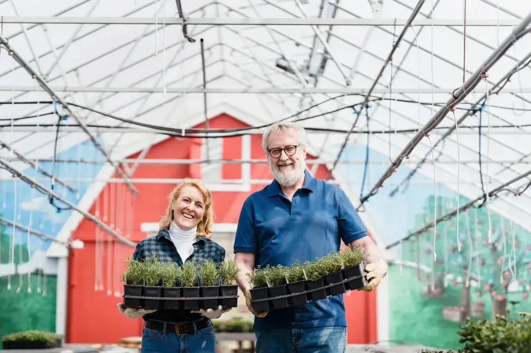 Evergreen Glasshouse Solutions