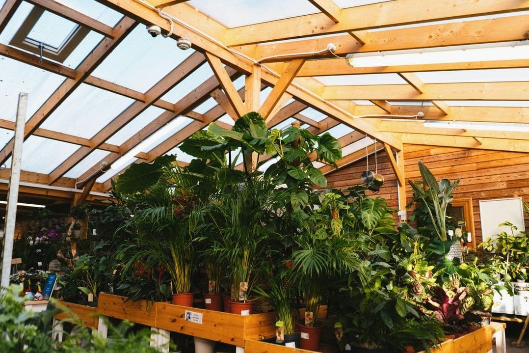 Evergreen Glasshouse Solutions 11
