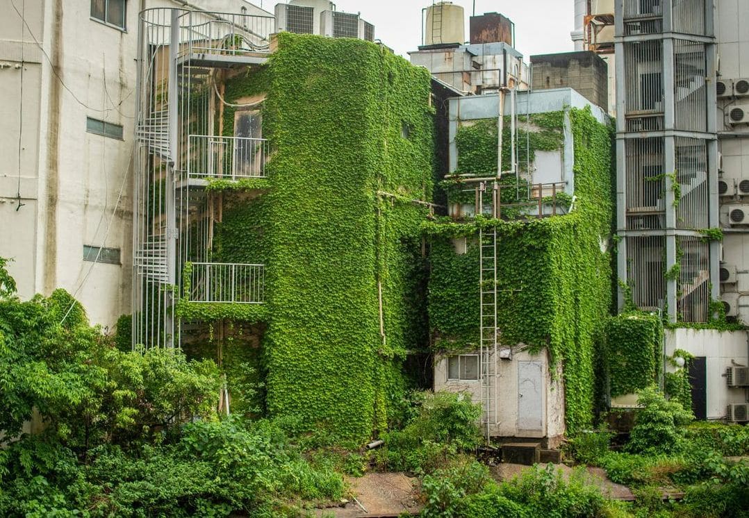 Evergreen Glasshouse Solutions 12
