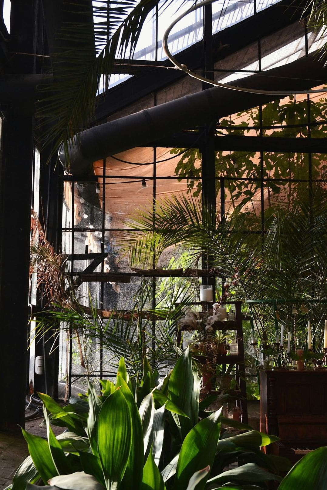 Evergreen Glasshouse Solutions 5